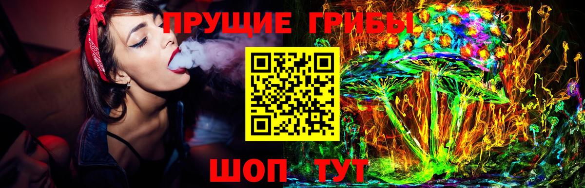 дарнет шоп  Галлюциногенные грибы ЛСД  Псилоцибиновые грибы мицелий  Вход с VPN  Северск 